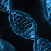 dna-test